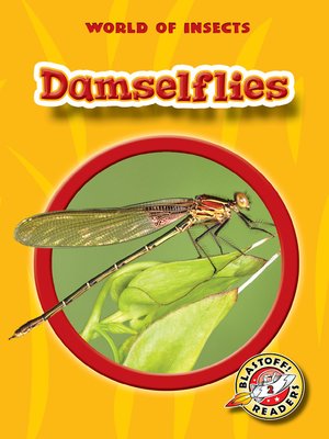 cover image of Damselflies
